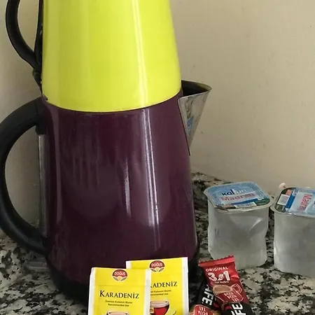 Era Gunluk Kiralik Daireler